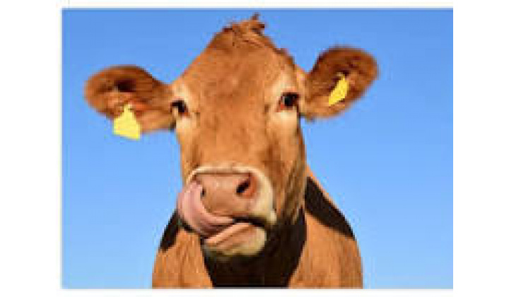 Odvolanie mimoriadnej situácie - vysoko nákazlivého vírusu slintačky a krívačky 